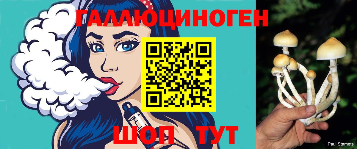 Омск  Галлюциногенные грибы Psilocybe  Вход с VPN 